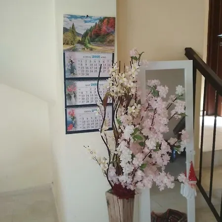 Villa Villa *