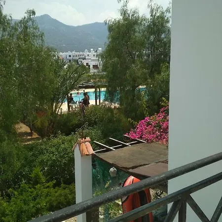 Villa Villa
